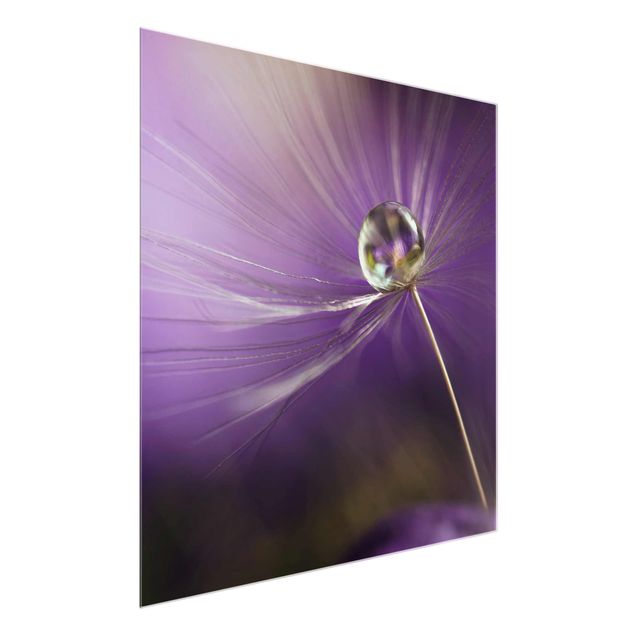 Wandbilder Floral Pusteblume in Violett