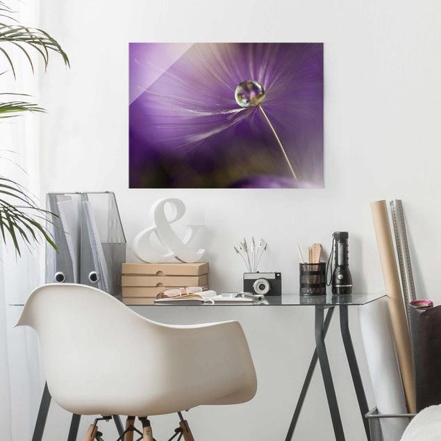 Glasbilder Blumen Motive Pusteblume in Violett