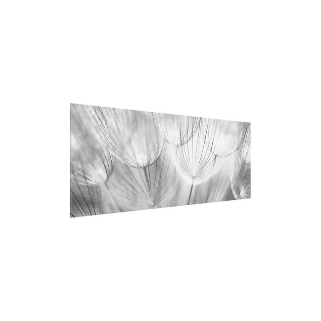 Glasbild schwarz-weiß Pusteblumen Makroaufnahme in schwarz weiss