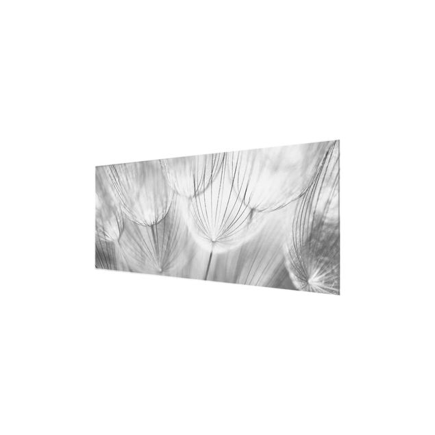 Wandbilder Schwarz-Weiß Pusteblumen Makroaufnahme in schwarz weiss