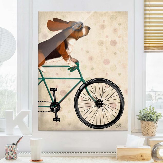 Glasbilder Tiere Radtour - Basset auf Fahrrad