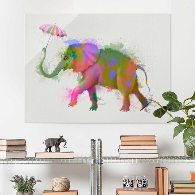 Wandbilder Elefanten Regenbogen Splash Elefant