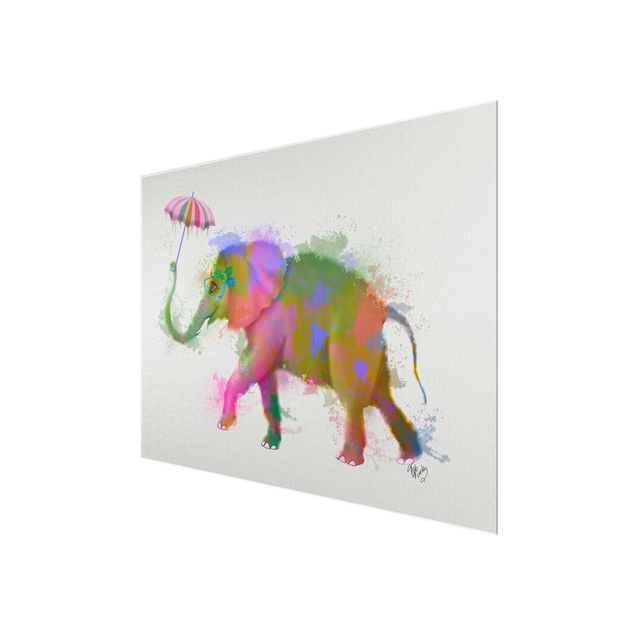 Wandbilder Bunt Regenbogen Splash Elefant