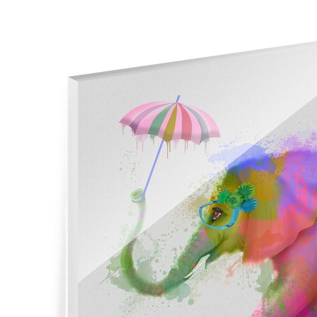 Bilder Regenbogen Splash Elefant