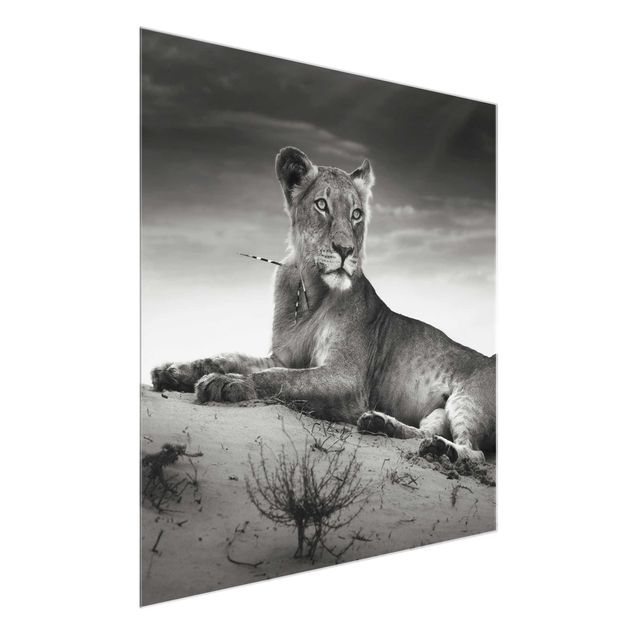 Wandbilder Portrait Resting Lion