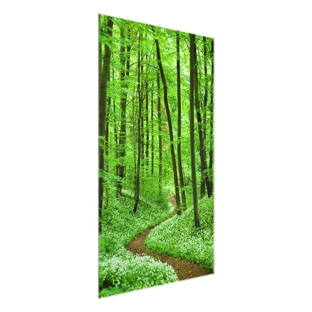 Wandbilder Glas Natur Romantischer Waldweg