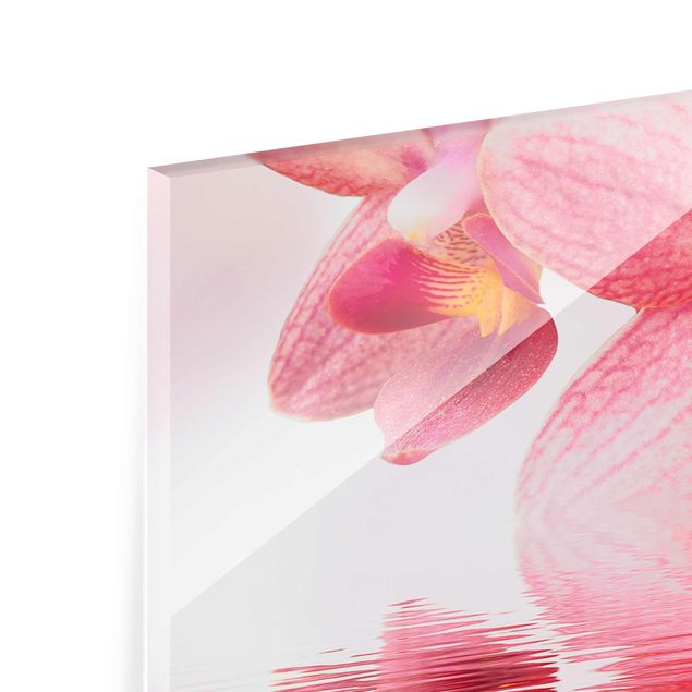 Glasbilder Rosa Orchideen auf Wasser