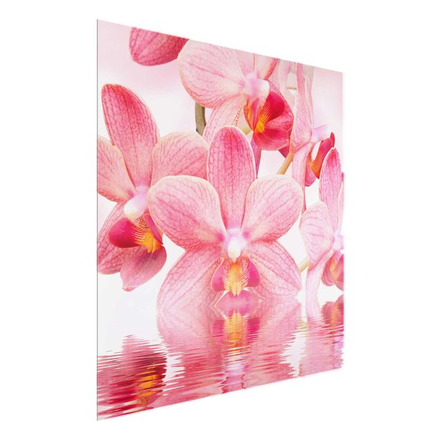 Glasbilder Blumen Rosa Orchideen auf Wasser