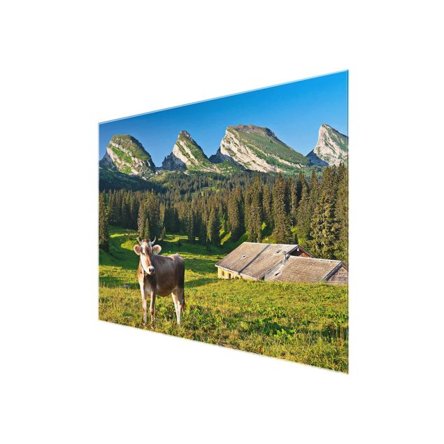 Wandbilder Landschaften Schweizer Almwiese mit Kuh