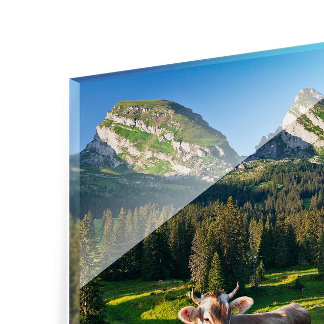 Glasbilder Tiere Schweizer Almwiese mit Kuh