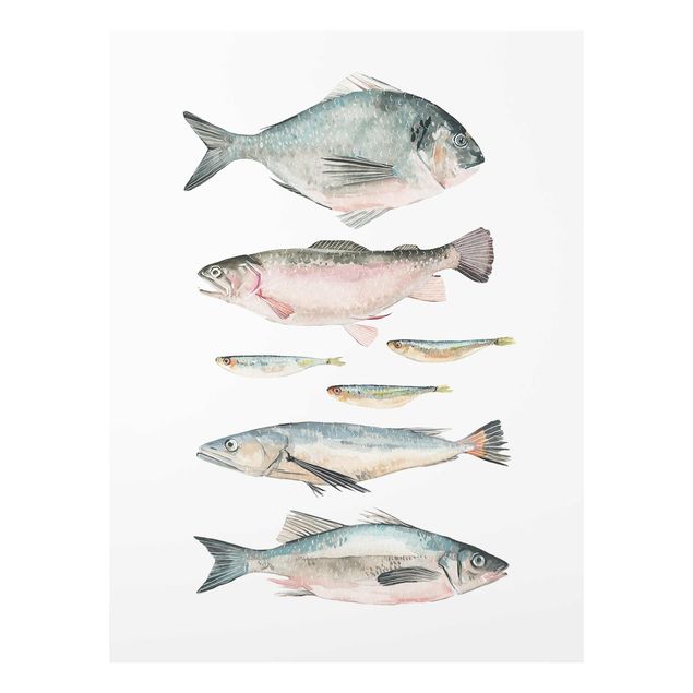 Wandbilder Tiere Sieben Fische in Aquarell II