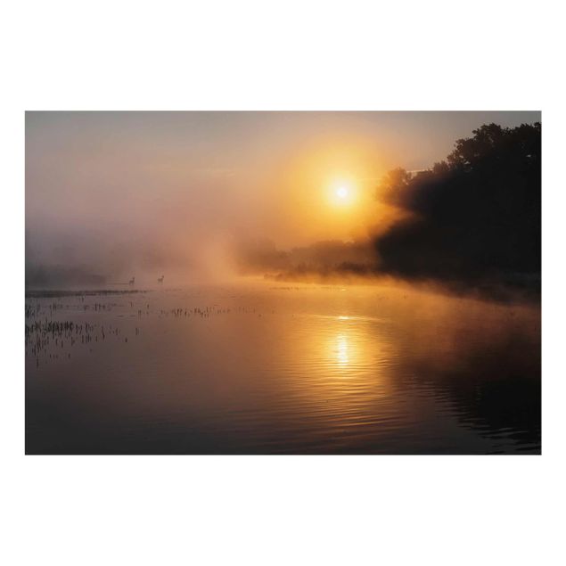 Wandbilder Modern Sonnenaufgang am See mit Rehen im Nebel