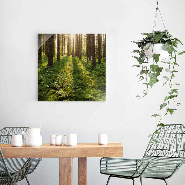 Wandbilder Landschaften Sonnenstrahlen im Grünen Wald