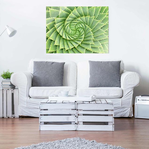 Wandbilder Floral Spiral Aloe