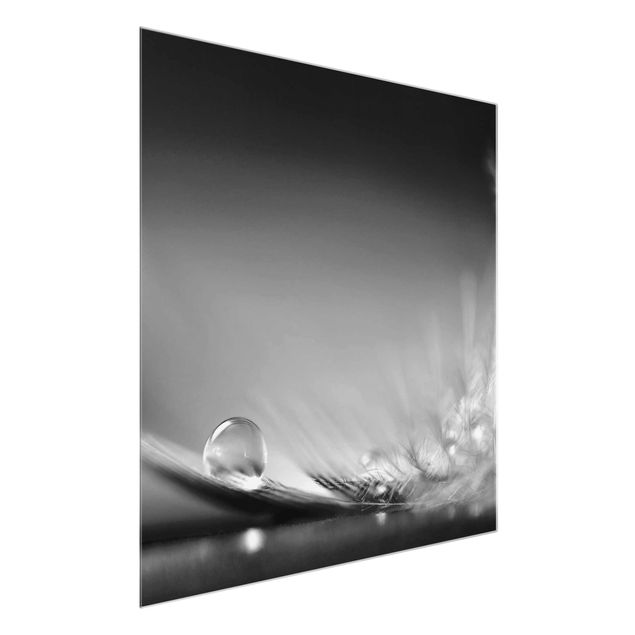 Wandbilder Modern Story of a Waterdrop Black White