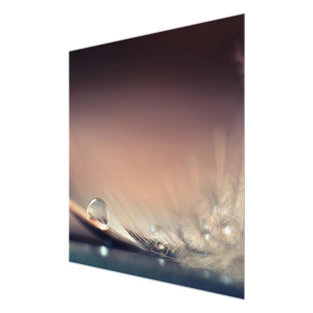 Glasbilder Story of a Waterdrop