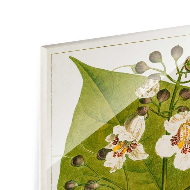Bilder auf Glas Tableau Blatt Blüte Frucht V