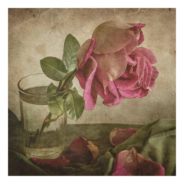 Wandbilder Blumen Tear of a Rose