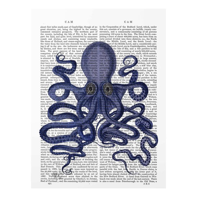 Wandbilder Blau Tierlektüre - Oktopus