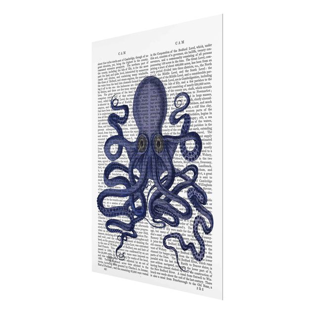 Wandbilder Tierlektüre - Oktopus