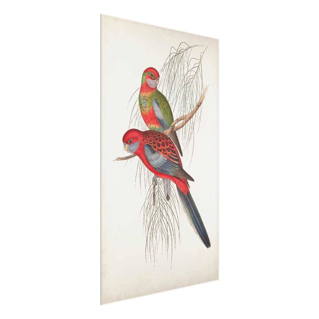 Wandbilder Blumen Tropische Papageien III