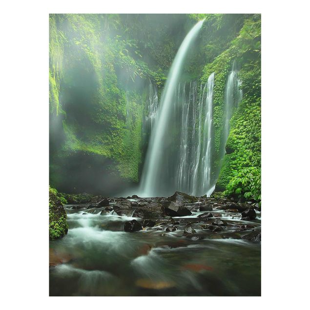 Glasbilder Natur Tropischer Wasserfall