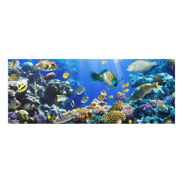 Glasbilder Strand Underwater Reef