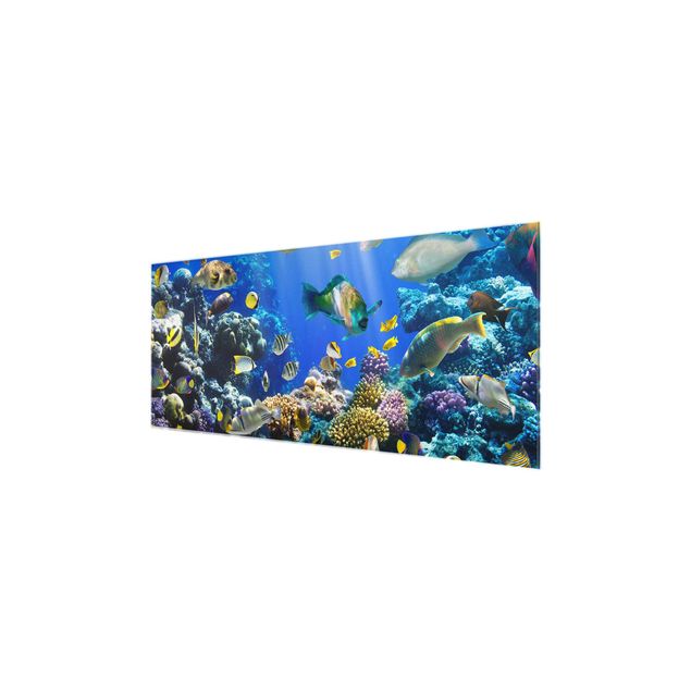 Glasbilder Natur Underwater Reef