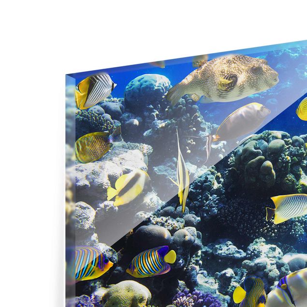 Wandbilder Blau Underwater Reef