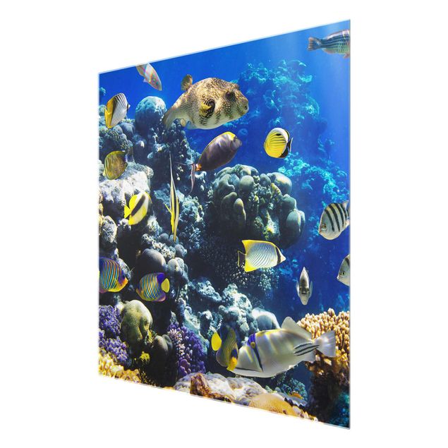 Glasbilder Landschaften Underwater Reef