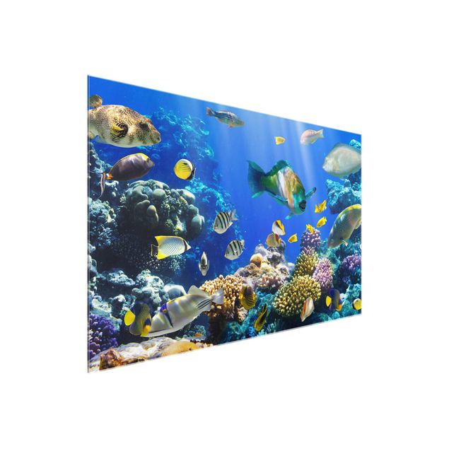 Wandbilder Meer Underwater Reef