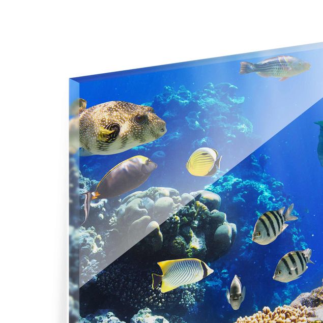 Wandbilder Blau Underwater Reef