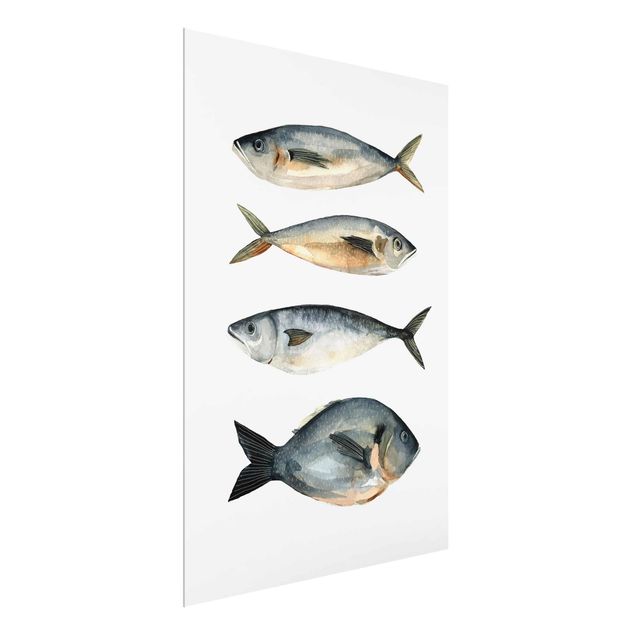 Wandbilder Modern Vier Fische in Aquarell I