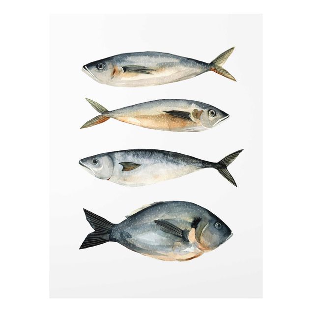 Wandbilder Tiere Vier Fische in Aquarell I