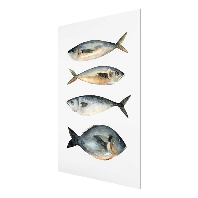 Wandbilder Blau Vier Fische in Aquarell I