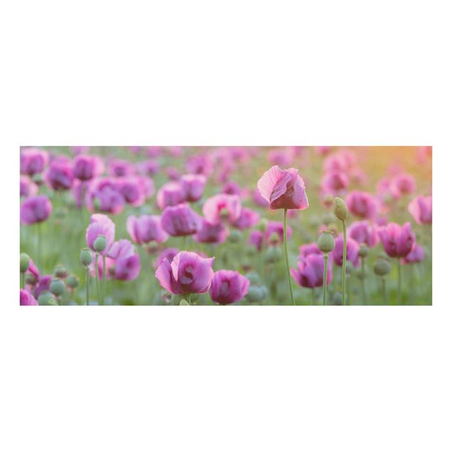 Wandbilder Floral Violette Schlafmohn Blumenwiese im Frühling
