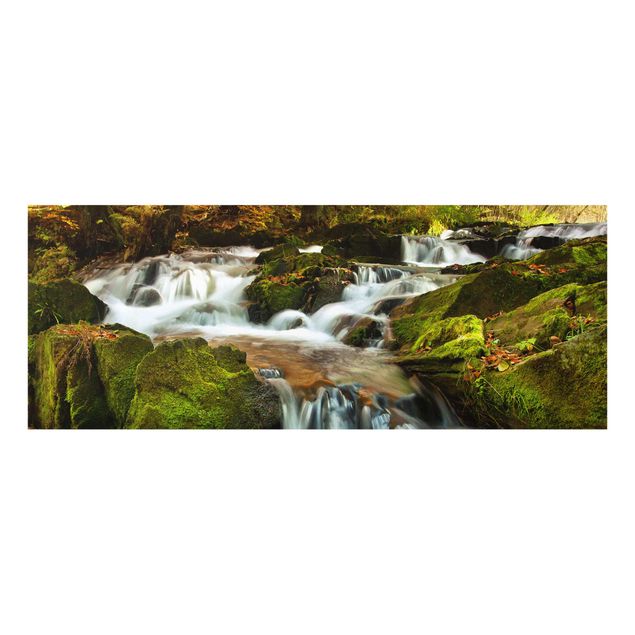 Wandbilder Glas Natur Wasserfall herbstlicher Wald