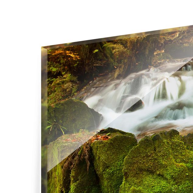 Wandbilder Grün Wasserfall herbstlicher Wald