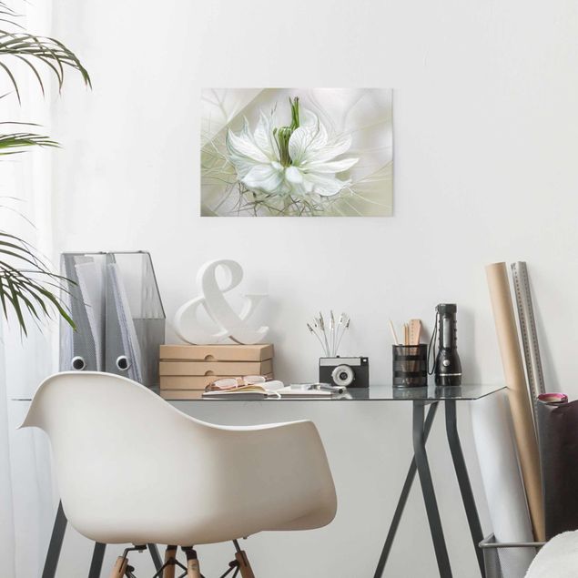 Wandbilder Floral Weiße Nigella