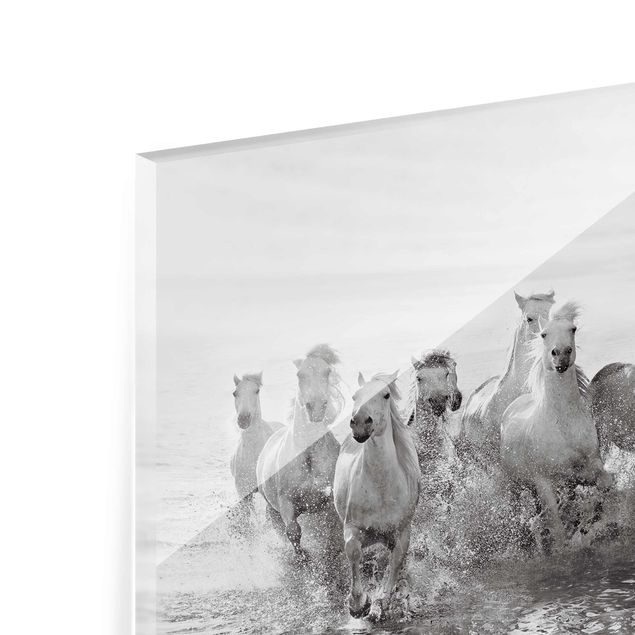 schwarz weiß Glasbilder Weiße Pferde im Meer