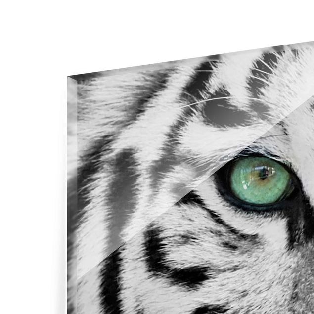 Bilder auf Glas Weißer Tiger