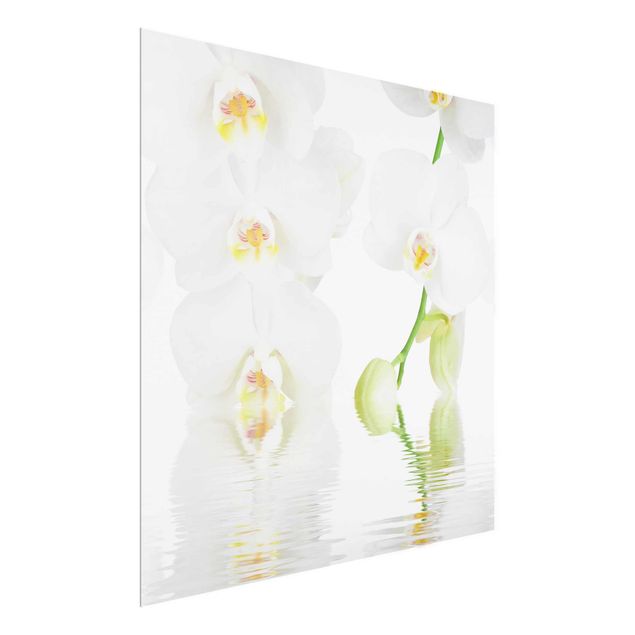 Glasbilder Blumen Wellness Orchidee
