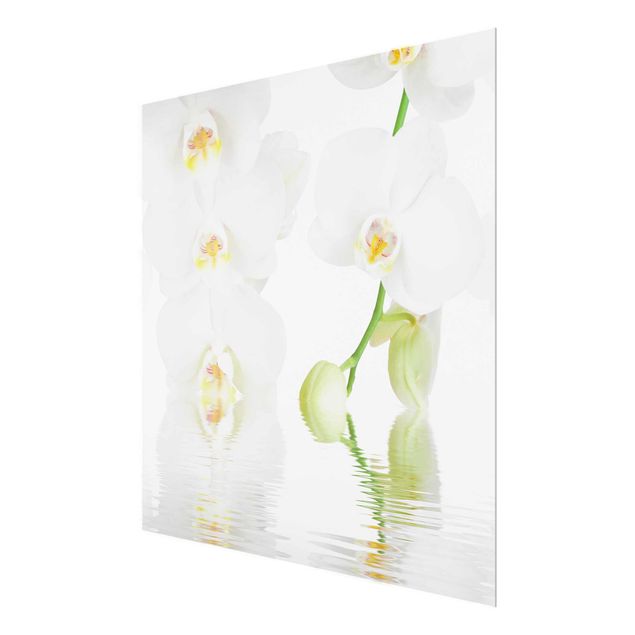 Wandbilder Blumen Wellness Orchidee