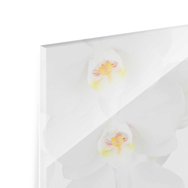 Glasbilder Wellness Orchidee