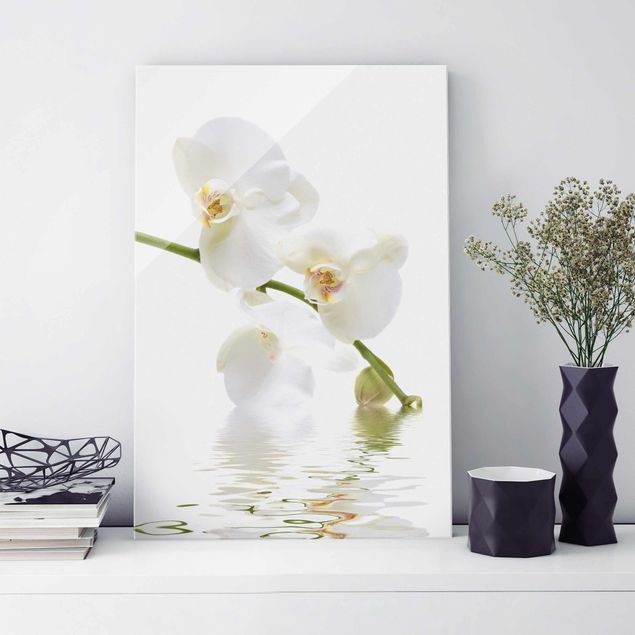 Glasbilder Orchideen White Orchid Waters