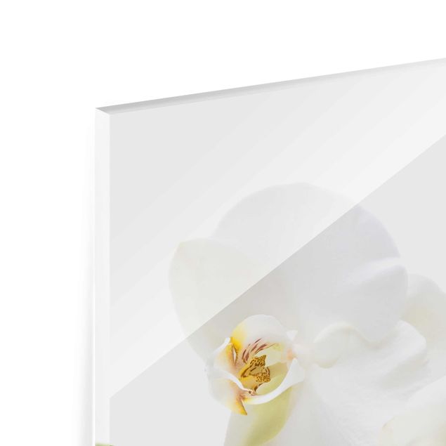 Glasbilder White Orchid Waters
