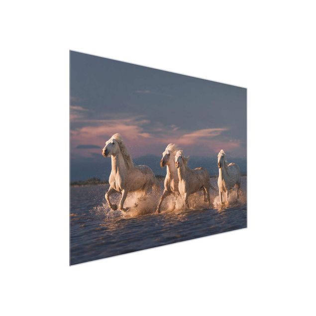 Wandbilder Modern Wilde Pferde in Kamargue