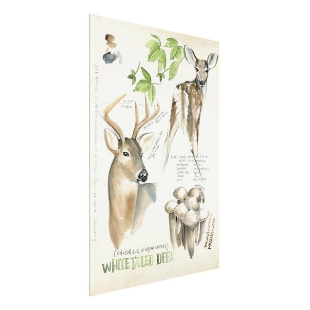 Wandbilder Floral Wildnis Journal - Hirsch