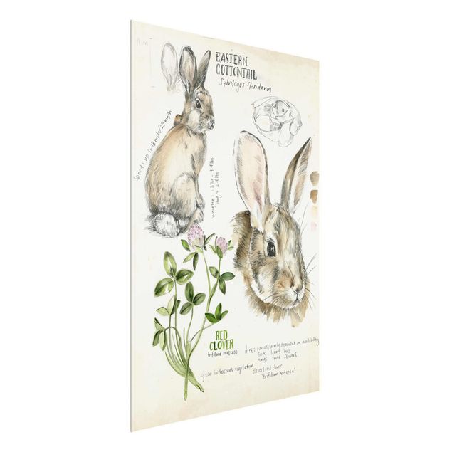 Wandbilder Blumen Wildnis Journal - Kaninchen