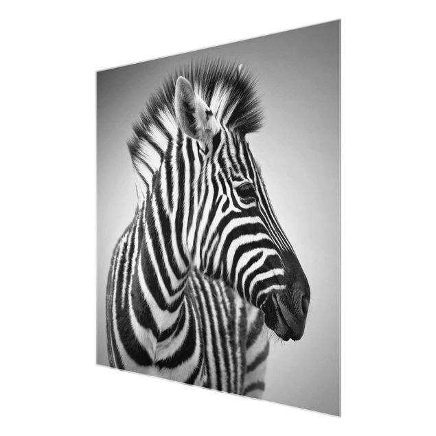 Wandbilder Schwarz-Weiß Zebra Baby Portrait II